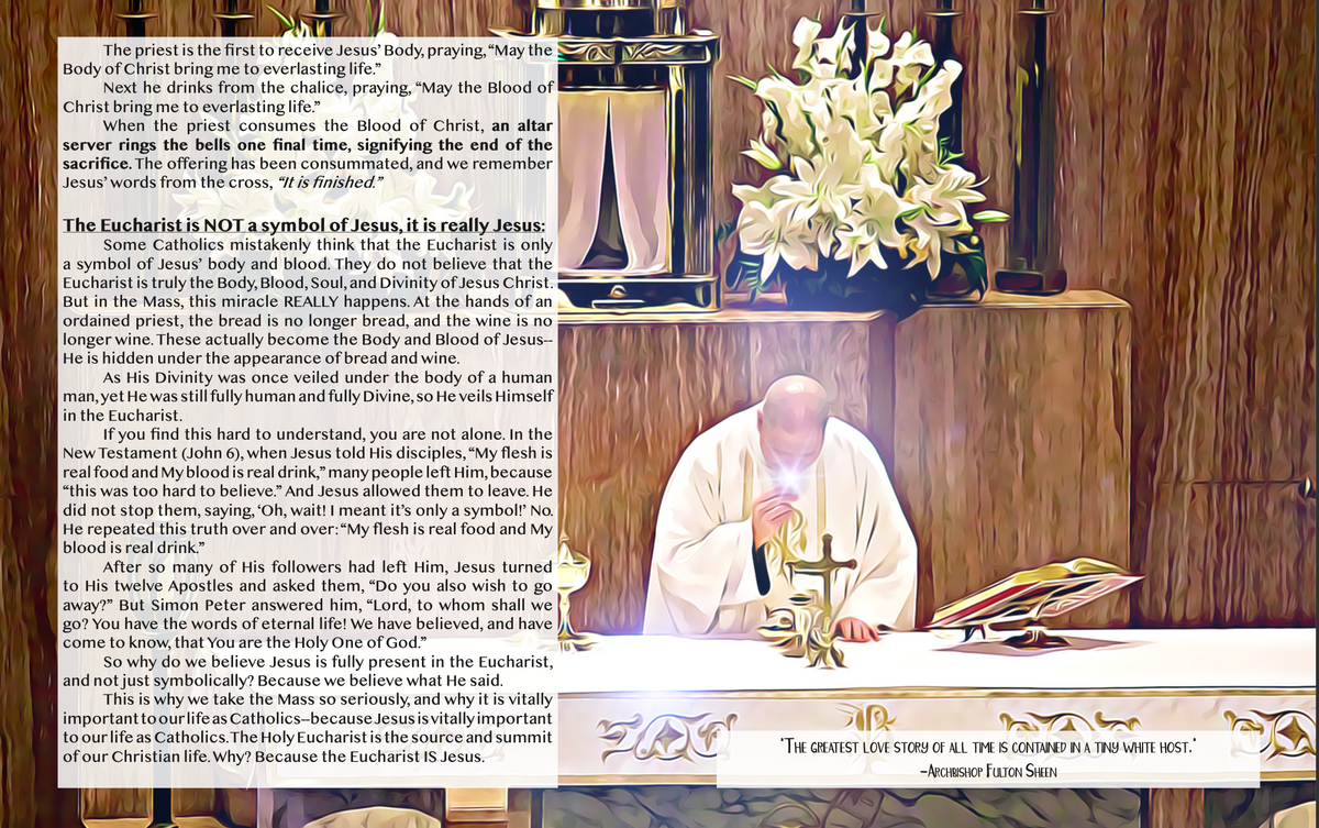 Serviam! An Introduction to the Holy Mass for Altar Servers